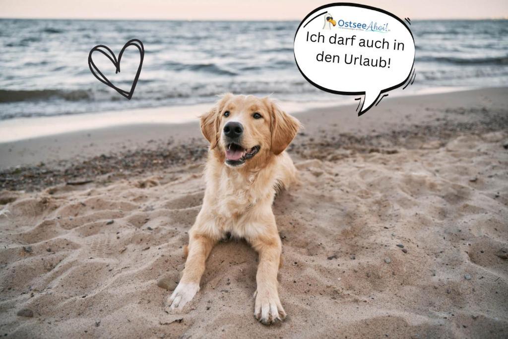 Kuestenliebe Von Ostseeahoi Lubeck